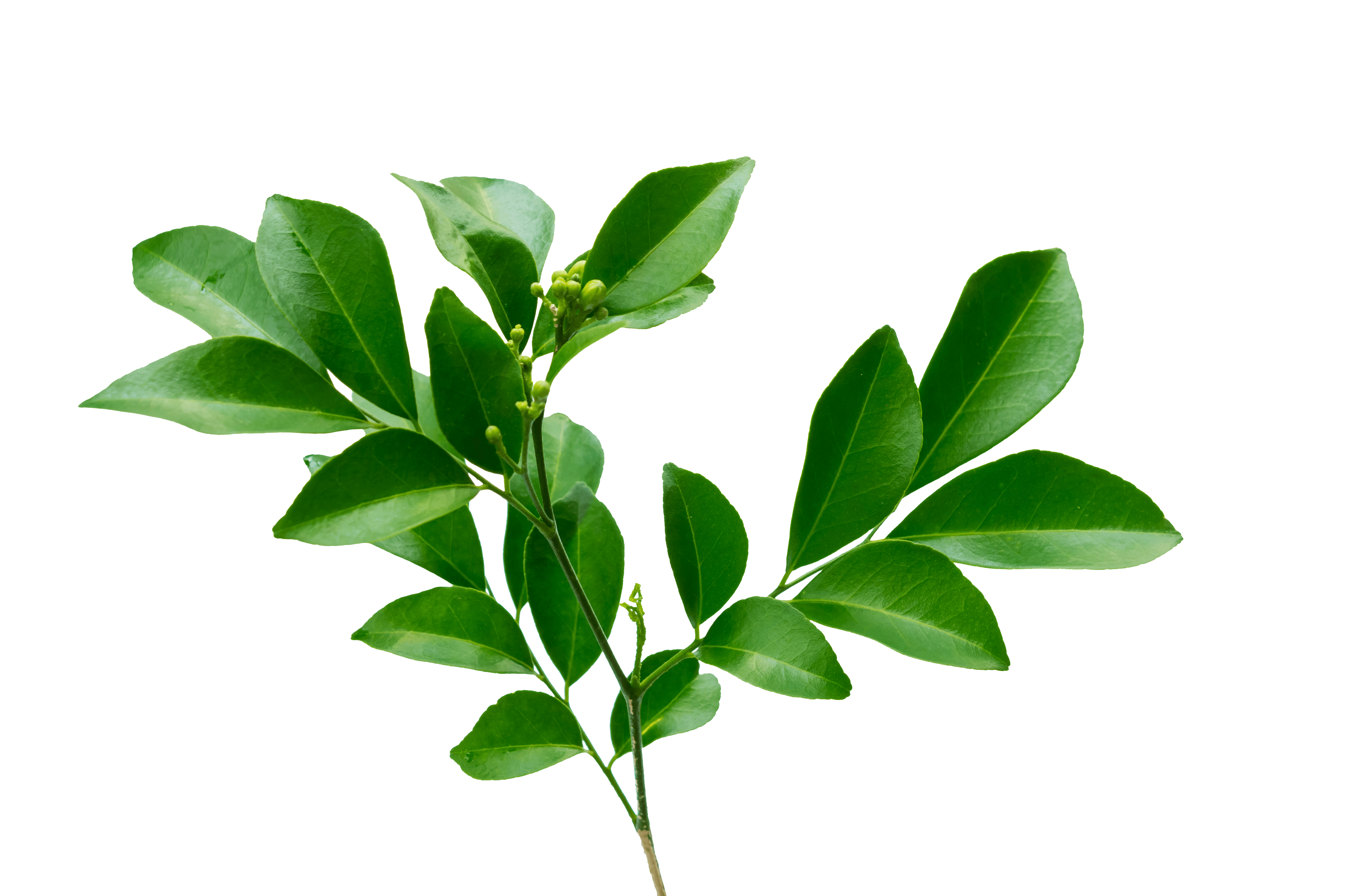 Imballaggio compatto